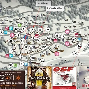 Les Silenes & Soldanelle La Plagne